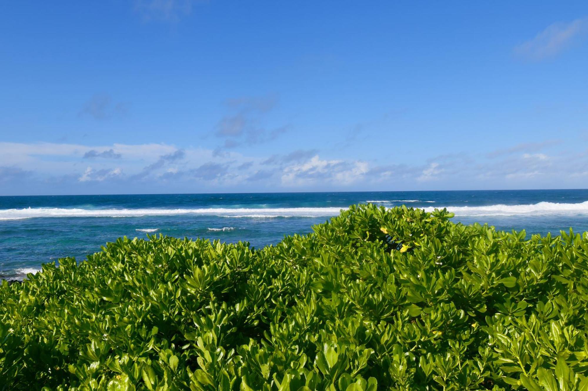 White&Blue Beachfront Luxury ป๊อสเตอ ลาฟาแยตต์ ภายนอก รูปภาพ